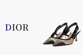 DIOR 鞋子
